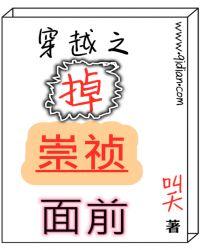 穿越掉崇祯面前两部